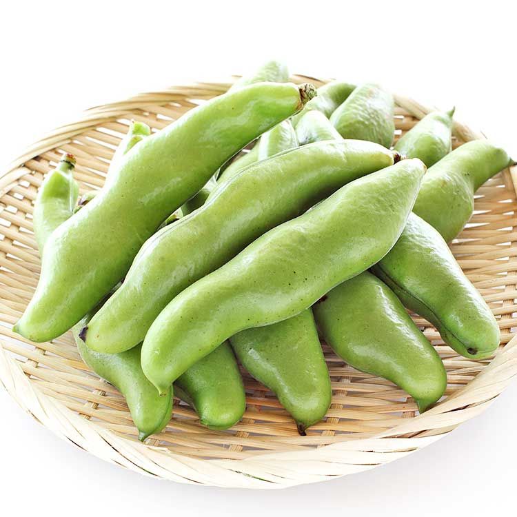 【今が旬！】そら豆２ｋｇ