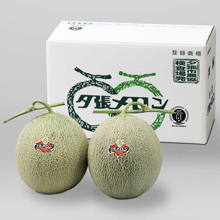 【６月下旬以降発送】北海道産夕張メロン【良品６－２】