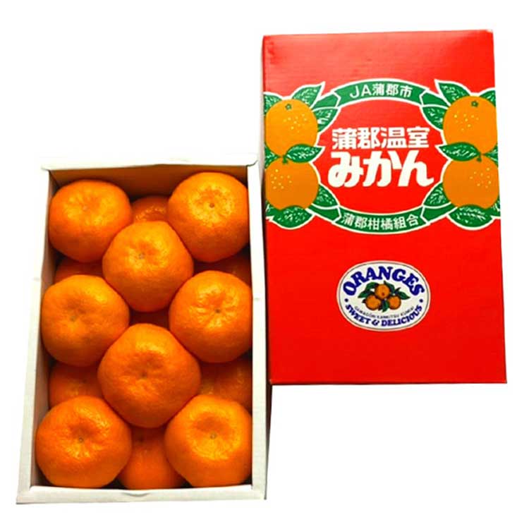 【ＷＥＢ限定】蒲郡温室みかん【お中元好適品】