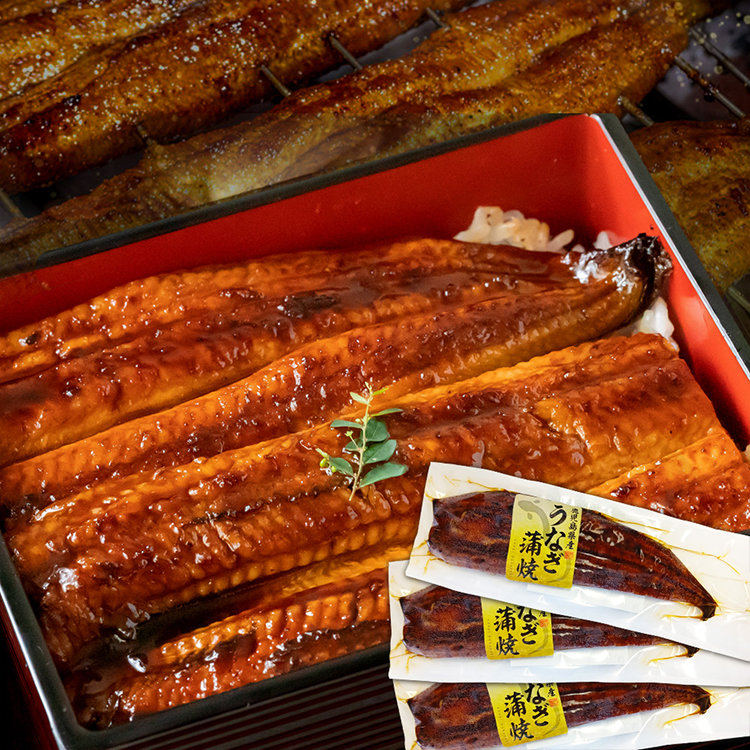 ［薩摩川内市観光物産協会］鹿児島県産特大うなぎ蒲焼×３尾