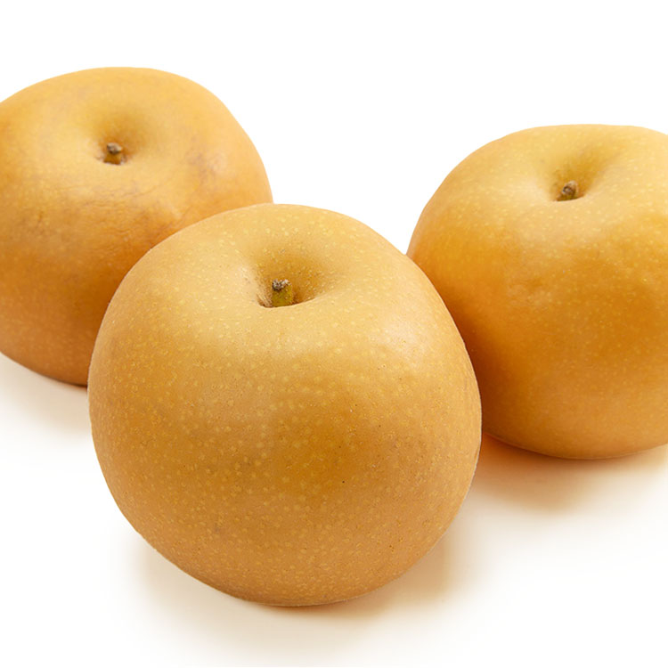 南水梨｜１玉３３０ｇ以上・約２ｋｇ（５～６玉）