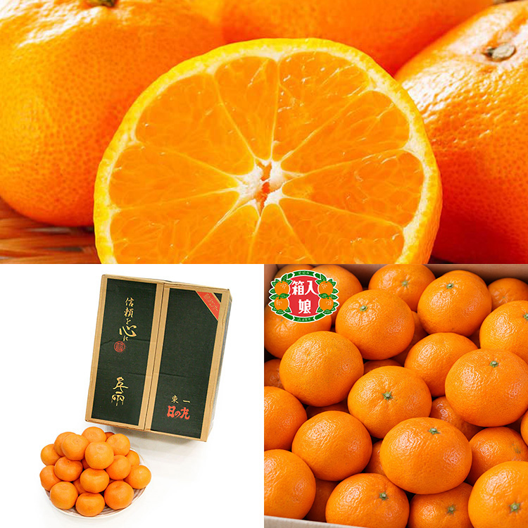 こだわりみかん３産地食べ比べ　約３ｋｇ