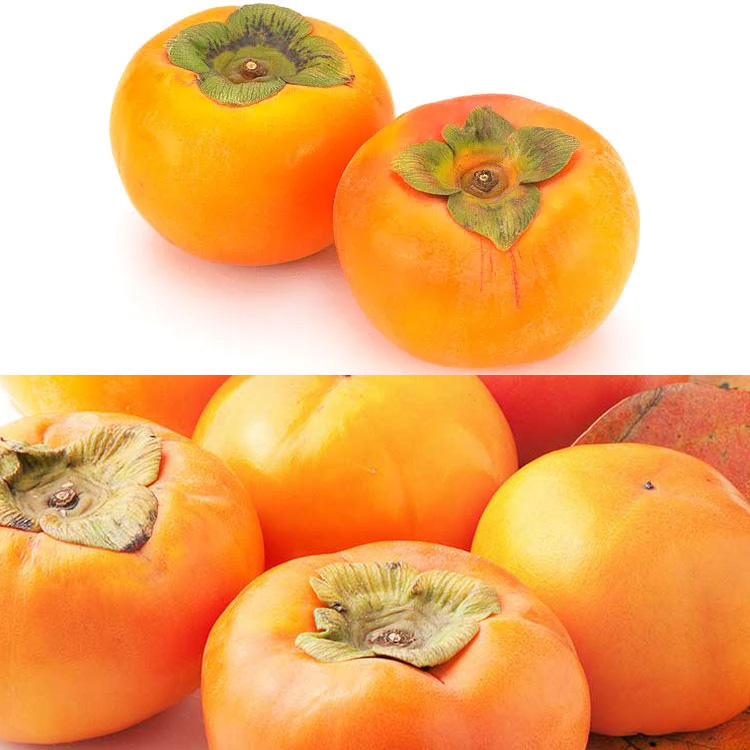 太秋柿と富有柿　食べ比べ
