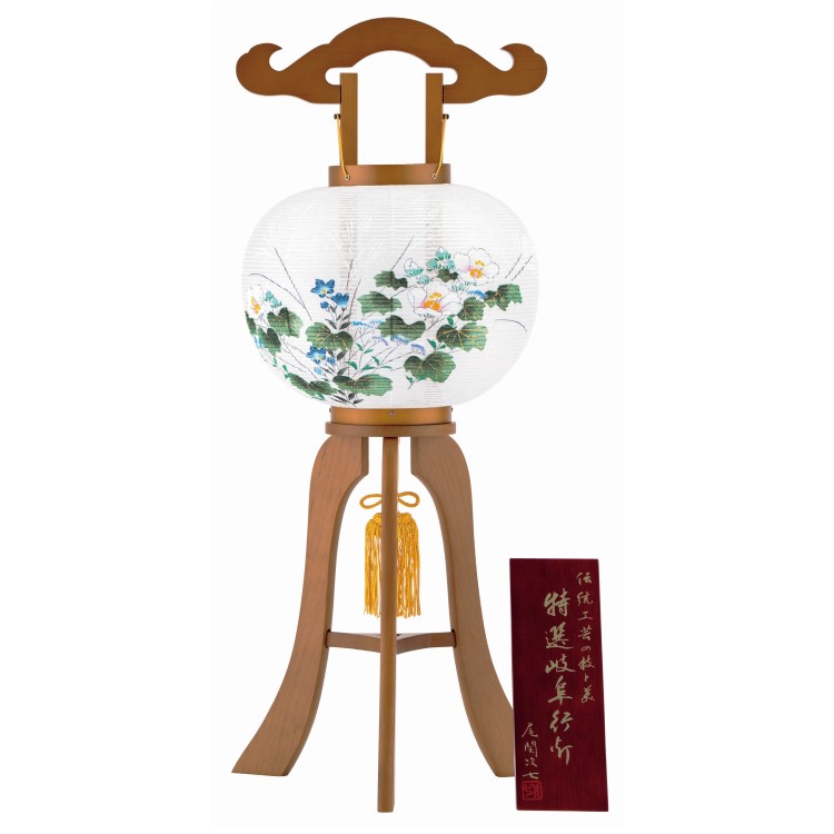 ★【岐阜提灯】芙蓉９号（芙蓉）