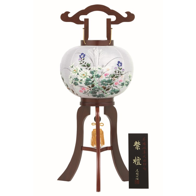 ★【岐阜提灯】二重紫檀１０号（大輪菊に撫子）