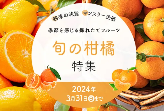 旬の柑橘特集
