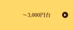 〜3,000円台