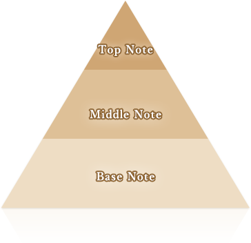 Top Note – Middle Note – Base Note
