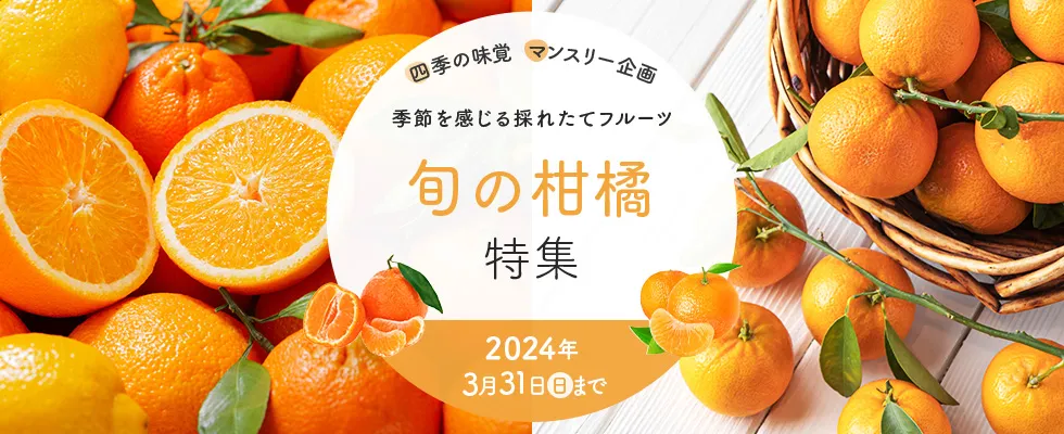 旬の柑橘特集